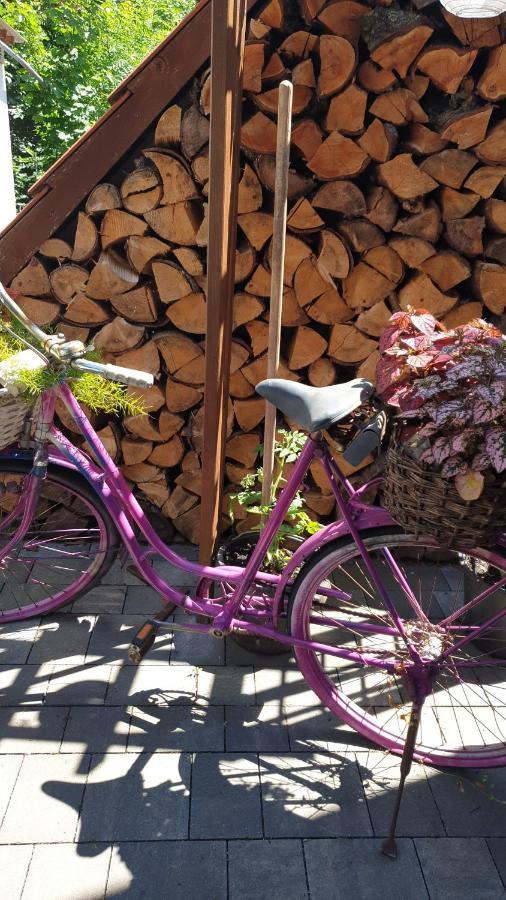 Ferienwohnung Sonnenschein Familie Hamdorf Bad Sulza Esterno foto