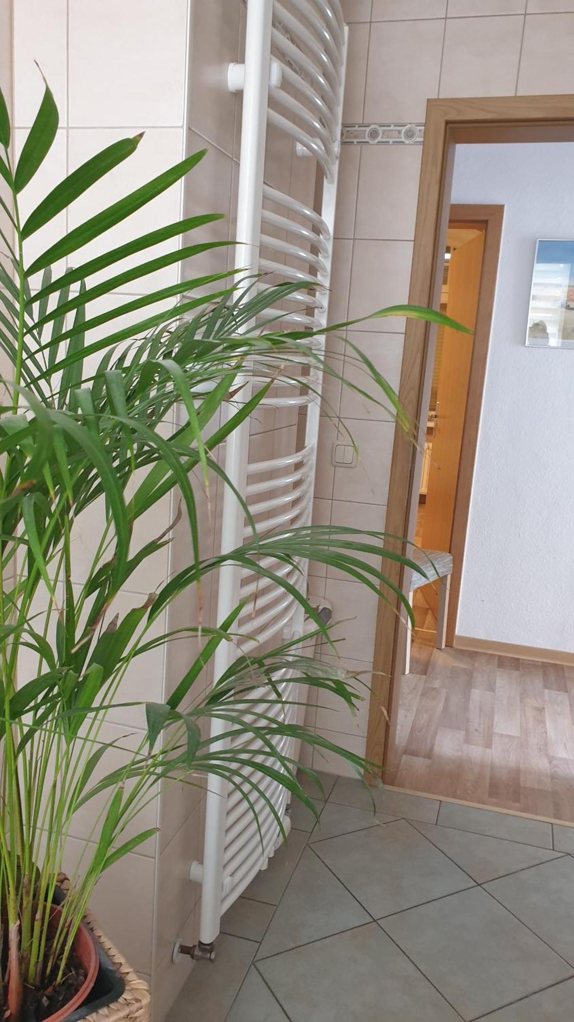 Ferienwohnung Sonnenschein Familie Hamdorf Bad Sulza Esterno foto