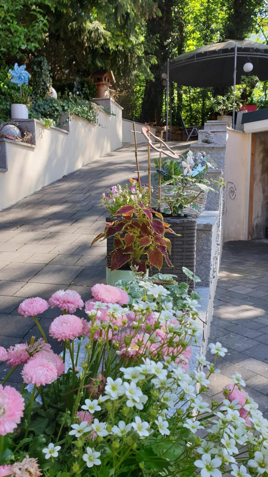 Ferienwohnung Sonnenschein Familie Hamdorf Bad Sulza Esterno foto